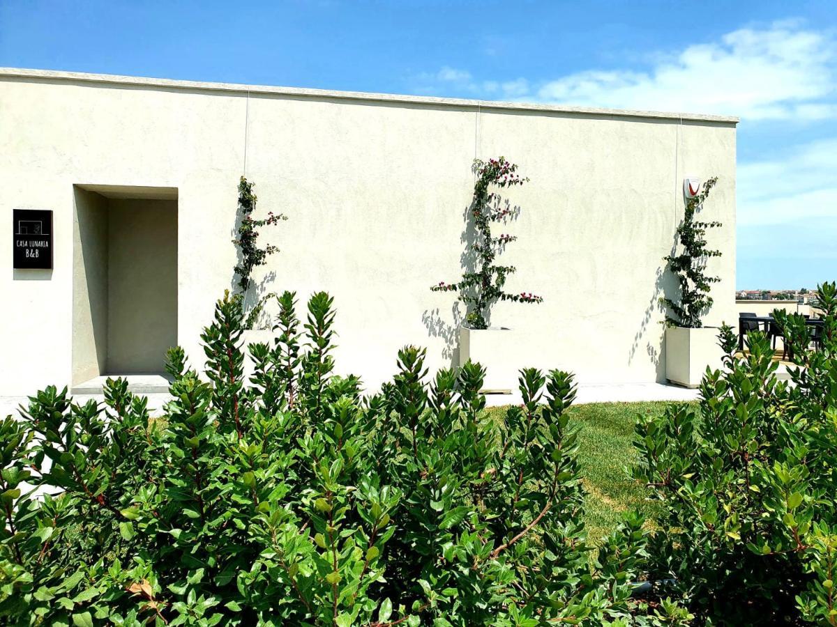 Casa Lunaria B&B Porto SantʼElpidio 外观 照片